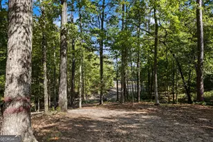 374 Ferrell-Tatum Rd, Lagrange, GA 30240 - Photo 62