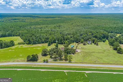 1536 Little McCall Road, Guyton, GA 31312 - Photo 98