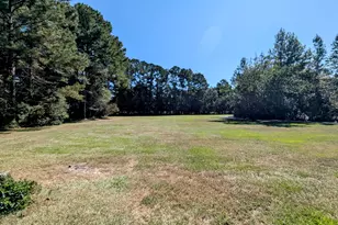 817 Lakeview Rd, Statesboro, GA 30461 - Photo 50
