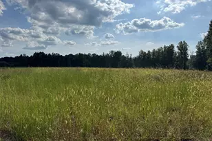 0 Hwy 113, Temple, GA 30179 - Photo 1