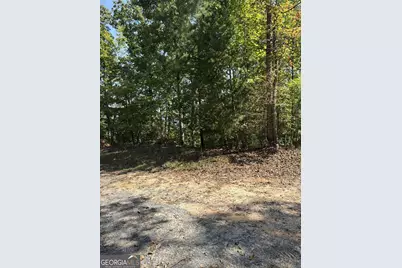 946 Aurora Lane, Ranger, GA 30734 - Photo 6