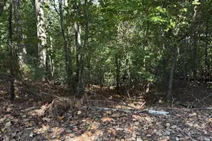 946 Aurora Ln, Ranger, GA 30734 - Photo 1