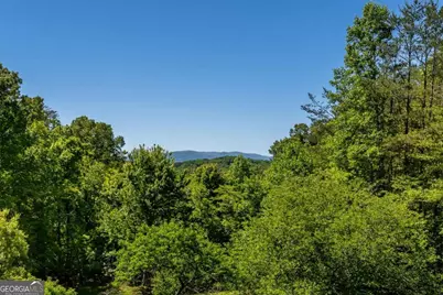 229 Old Mill Pond Road, Mineral Bluff, GA 30559 - Photo 56