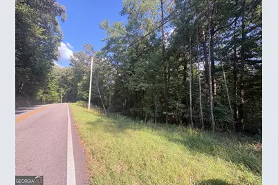 000 Macedonia Church Road, Blue Ridge, GA 30513 - Photo 2