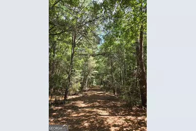114 Riley Court, Springfield, GA 31329 - Photo 12