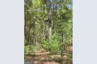 114 Riley Court, Springfield, GA 31329 - Photo 20