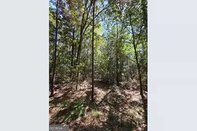 114 Riley Court, Springfield, GA 31329 - Photo 22