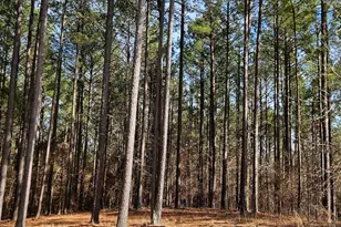 1121 Apalachee Mdws Dr, Madison, GA 30650 - Photo 1