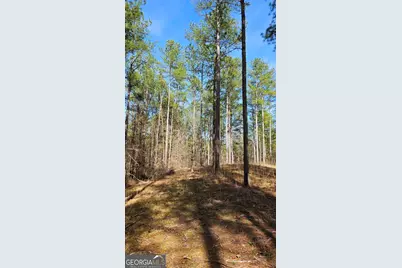 1121 Apalachee Meadows Drive, Madison, GA 30650 - Photo 12