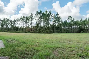 446 McClelland Road NE, Ludowici, GA 31316 - Photo 56