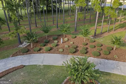 314 Sam Miles Road, Baxley, GA 31513 - Photo 6