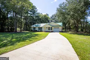 2121 Darwel Long Road NE, Ludowici, GA 31316 - Photo 2