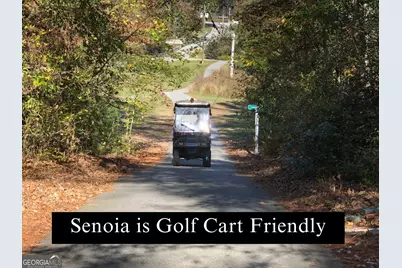 150 Filson Drive #29, Senoia, GA 30276 - Photo 36
