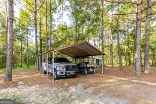 449 Green Rd, Ellaville, GA 31806 - Photo 6