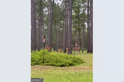 449 Green Road, Ellaville, GA 31806 - Photo 34