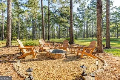 449 Green Road, Ellaville, GA 31806 - Photo 16