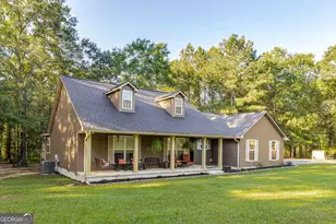 449 Green Rd, Ellaville, GA 31806 - Photo 2