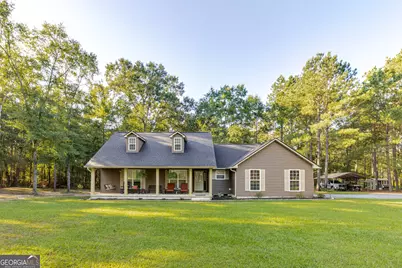 449 Green Road, Ellaville, GA 31806 - Photo 1