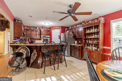 449 Green Road, Ellaville, GA 31806 - Photo 26