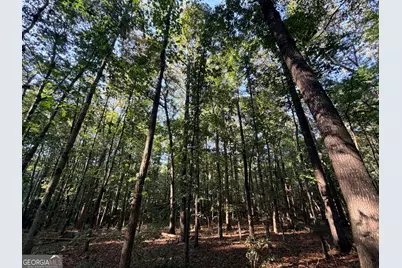2105 Erastus Church Road, Commerce, GA 30530 - Photo 18