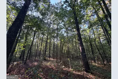 2105 Erastus Church Road, Commerce, GA 30530 - Photo 16