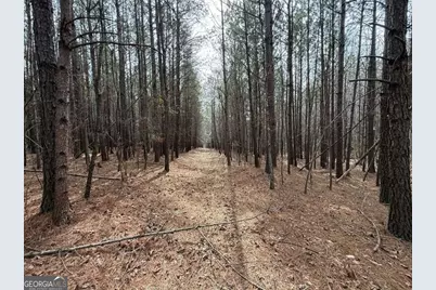 3616 Thompson Mill Road, Buford, GA 30519 - Photo 6