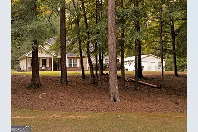 131 Mill Pond Court, Milner, GA 30257 - Photo 42