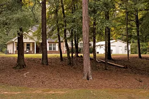 131 Mill Pond Ct, Milner, GA 30257 - Photo 42