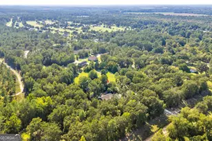 523 Taylor Rowland Rd, Dexter, GA 31019 - Photo 48