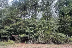 1521 Cordele Rd, Bowman, GA 30624 - Photo 1