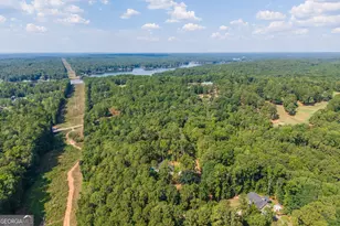 673 Pelican Cir, Monticello, GA 31064 - Photo 46