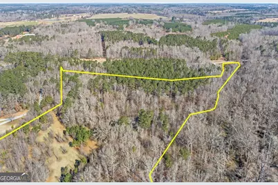 0 Hampton Locust Grove Road, Hampton, GA 30228 - Photo 6