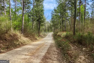 0 Hunter Road, Locust Grove, GA 30248 - Photo 20