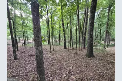 1100 Centennial Post, Greensboro, GA 30642 - Photo 6