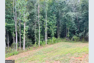 1027 Roberts Rd, Demorest, GA 30535 - Photo 28