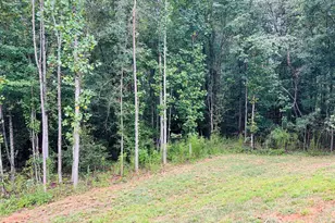1027 Roberts Rd, Demorest, GA 30535 - Photo 28