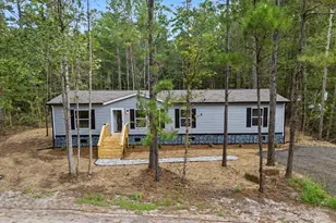 1110 Lecounte Rd, Townsend, GA 31331 - Photo 2