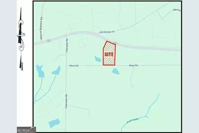 Lot 5 E Highway 16, Sharpsburg, GA 30277 - Photo 4