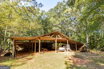 557 Green Road, Ellaville, GA 31806 - Photo 10