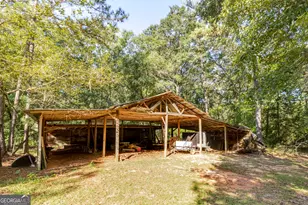 557 Green Rd, Ellaville, GA 31806 - Photo 10
