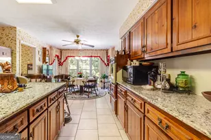 557 Green Rd, Ellaville, GA 31806 - Photo 28