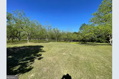 49 Elderberry Lane, Abbeville, GA 31001 - Photo 24