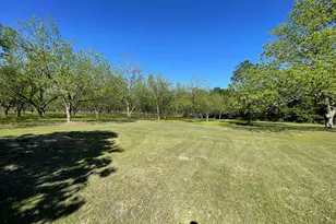 49 Elderberry Ln, Abbeville, GA 31001 - Photo 24
