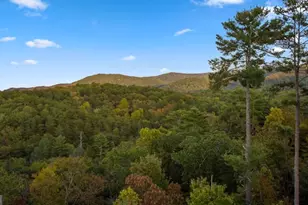 709 Laurel Creek Trail, Blue Ridge, GA 30513 - Photo 6