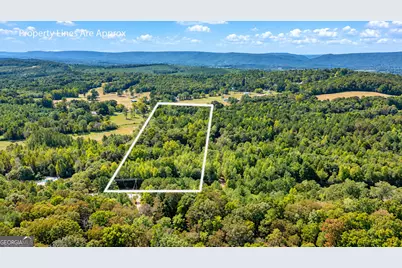 0 Ridgeway Road, Trion, GA 30753 - Photo 2
