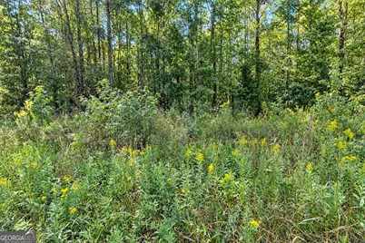 0 Ridgeway Road, Trion, GA 30753 - Photo 6