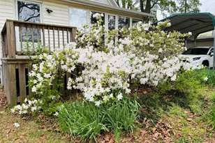 53 Ninth St, Carlton, GA 30627 - Photo 70
