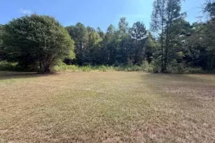 777 Kirk Rd, Franklin, GA 30217 - Photo 24