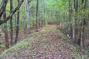 1291 Dials Mill Spur, Statham, GA 30666 - Photo 2