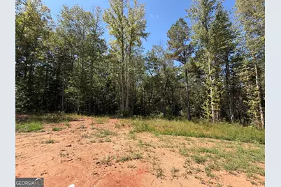 1736 Armstrong Mill Road, Franklin, GA 30217 - Photo 14